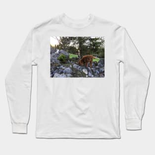 Scottish Highland Cattle Calf and Cats 1756 Long Sleeve T-Shirt